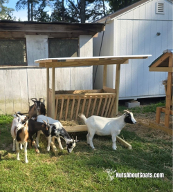 TALL Rescue Images - 1