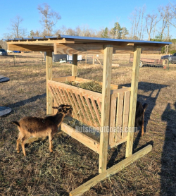 TALL Rescue Images - 14