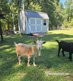 TALL Rescue Images - 21