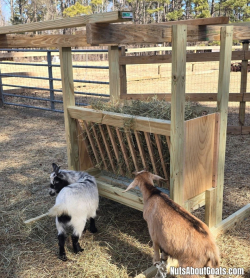 TALL Rescue Images - 29