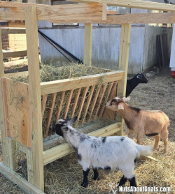 TALL Rescue Images - 30
