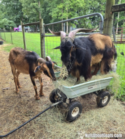 TALL Rescue Images - 47
