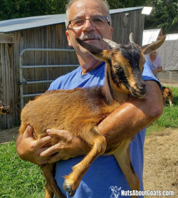 TALL Rescue Images - 50