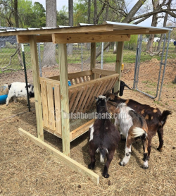 TALL Rescue Images - 6